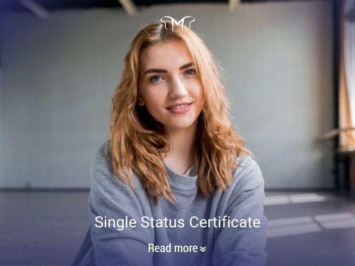 Comprehensive Information on Single Status Certificate in Germany 2024